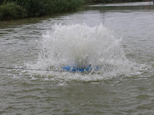 涌泉式喷泉曝气机在河道治理.jpg